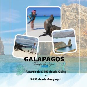 Galápagos: un paraíso donde la naturaleza cuenta su propia historia